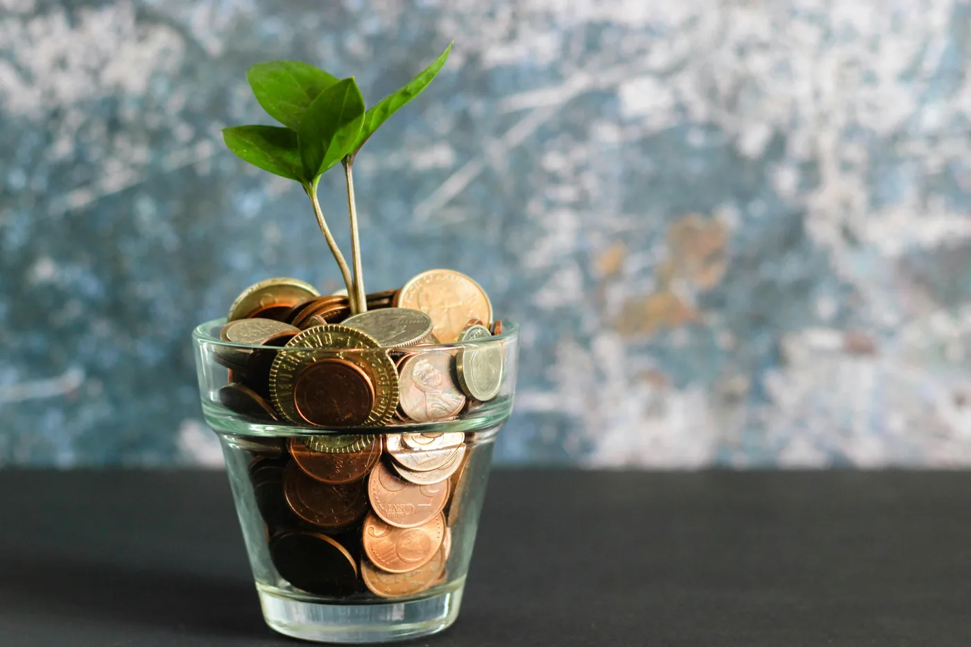 A small glass filled with copper and gold coins with a green seedling growing out of it, against a blue textured wall